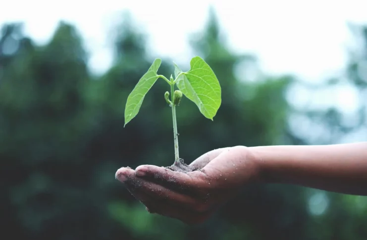 Biodiversité