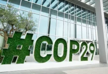 COP 29