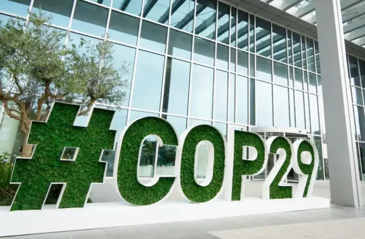 COP 29