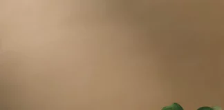 Baromètre des risques 2025