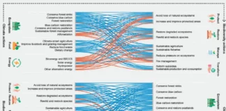 transition climatique