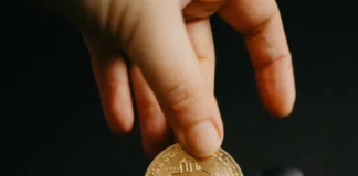 capital-investissement