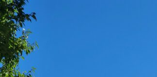 Europe vs. États-Unis