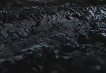 Score Carbone Axylia® – Quand le carbone devient une donnée financière aussi lisible que le résultat net marché du carbone