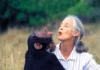 Jane Goodall