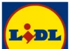 Lidl France duoday