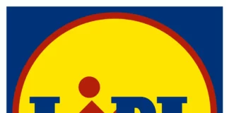 Lidl France duoday