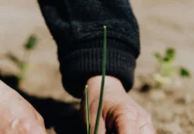 Énergie Partagée : financer l’énergie citoyenne autrement, pour accélérer la transition là où elle naît : dans les territoires Énergie Partagée