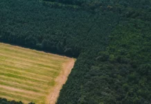 Biodiversité en Europe