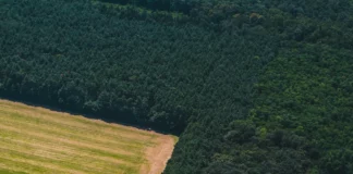 Biodiversité en Europe