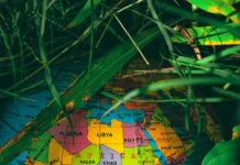 restauration écologique