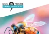 biodiversité
