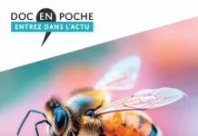 Biodiversité : êtes-vous vraiment sûr de comprendre ce mot que tout le monde utilise ? biodiversité