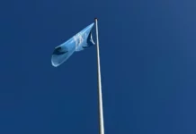 ONU