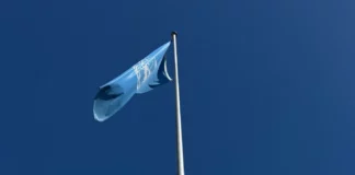 Pacte mondial de l’ONU – Réseau France : une nouvelle présidence pour accélérer la transition durable des entreprises ONU