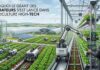 dyson farming