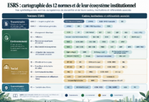 ESRS : comprendre les 12 normes européennes de durabilité et les institutions qui structurent le reporting ESG mondial ESRS